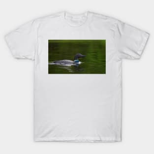 Common loon - Wilson Lake T-Shirt